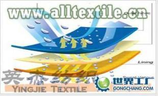 供應滌綸針織尼龍復合面料 尼龍針織尼龍復合面料_紡織、皮革_世界工廠網中國產品信息庫