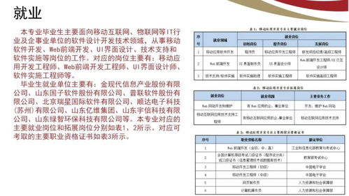 山東電子職業技術學院計算機與軟件工程系 計算機軟件技術服務專業簡介